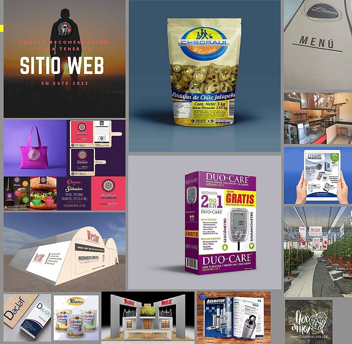 Portafolio de diseño gráfico, empaque y desarrollo web